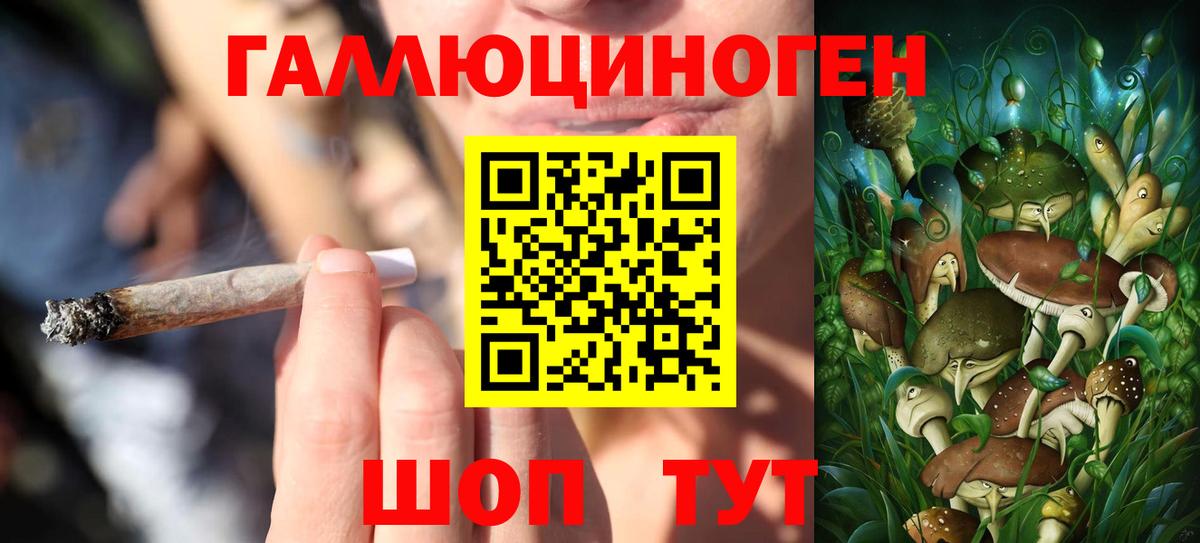 Рубцовск  Псилоцибиновые грибы GOLDEN TEACHER  Вход с VPN  Псилоцибиновые грибы Cubensis 